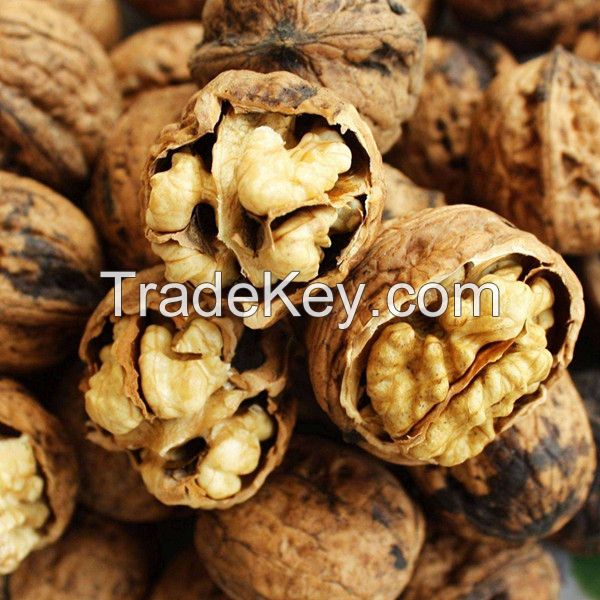 Walnut