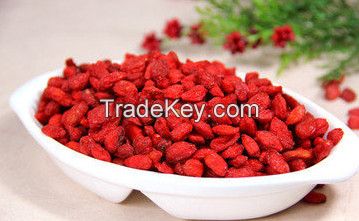 barbary wolfberry fruit