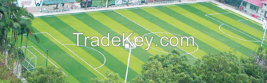 Artificial Grass