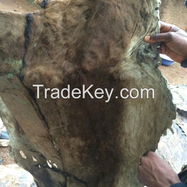 Wet and dry salted and Unsalted Cow hide, Donkey Hide, Goat skin , Rabbit skin, sheep skin