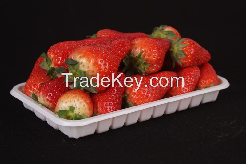 Plastic Food tray Fruit Packaging
