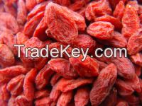 dried goji berries