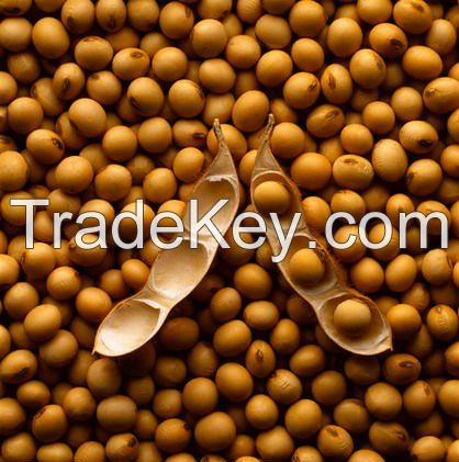 100% natural organic Soybeans