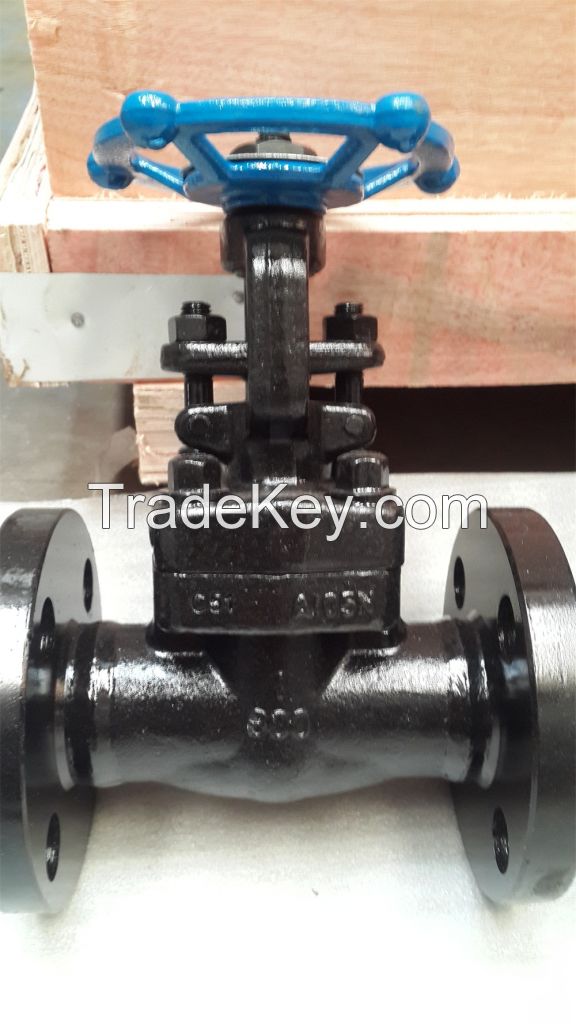 Forged steel flanged gate valve