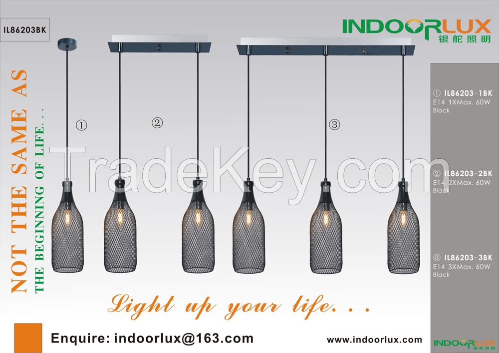 2015 new Indoor metals pendants light/ceiling light