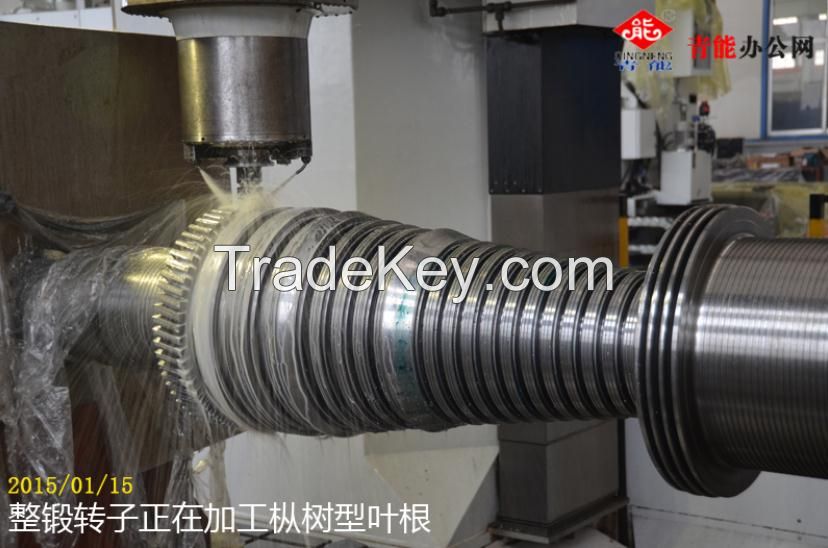 steam turbine