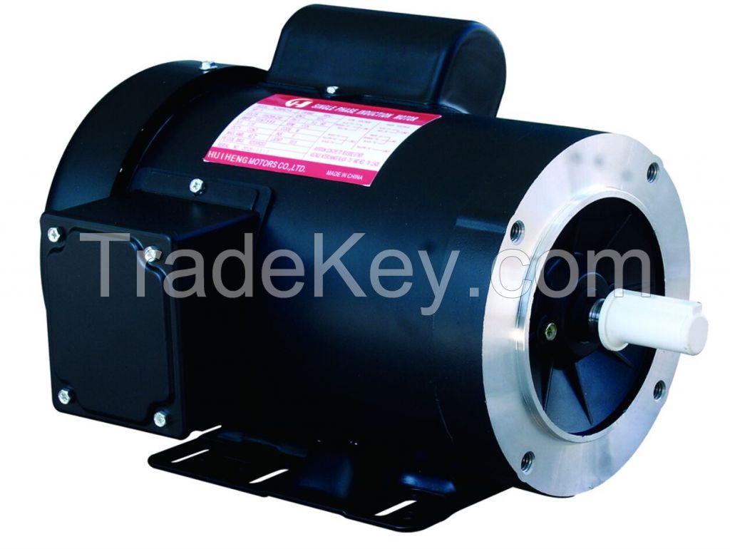 NEMA 56/48 Frame SPA MOTOR With UL