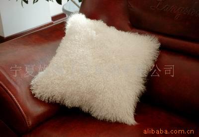 cushion