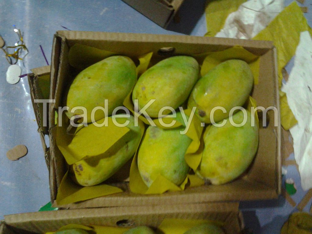 mangos