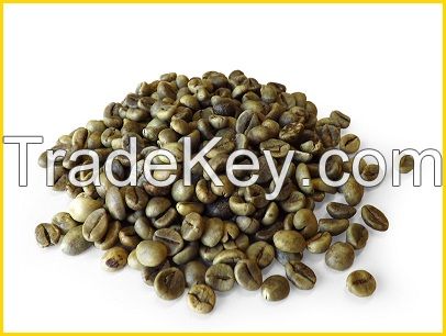 Vietnam Reliable Supplier for Robusta Coffee Green bean(Viber/Whatsaap: +84965152844)