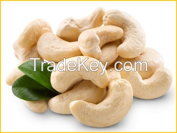 CASHEW NUTS HIGH QUALITY FROM VIETNAM HANFIMEX CORPORATION