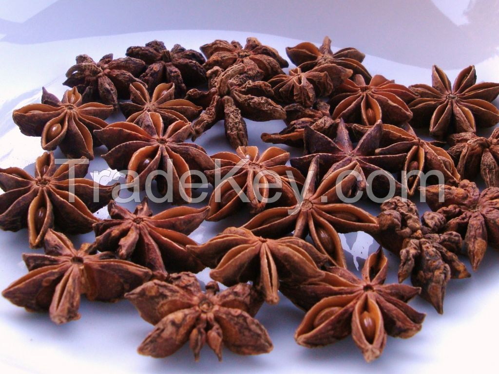 Vietnam Star Anise without stem GOOD QUALITY to export(Skype: hanfimex08)