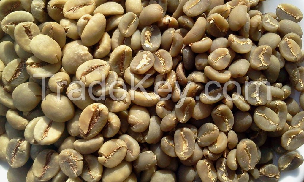 Vietnam Arabica Coffee Green Bean HIGH QUALITY to wholesale (Viber/Whatsaap: +84965152844)