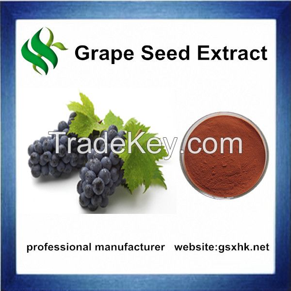 grape seed extract