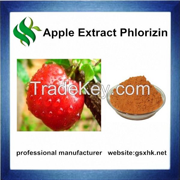 Apple Extract Phlorizin