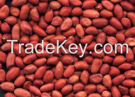 ETHIOIPIAN  ORIGIN ORGANIC PEANUT