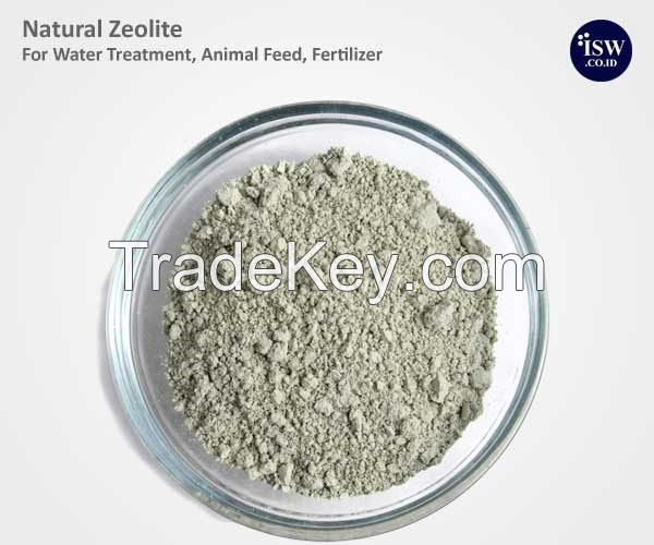 Natural Zeolite as Detergent additive