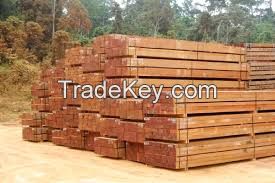 Specialised in Tropical Hardwood ( Greenheart, Purpleheart, Kabukalli, Tauroniro, Wallaba, Mora, Shibadan) & GH piles & charcoal