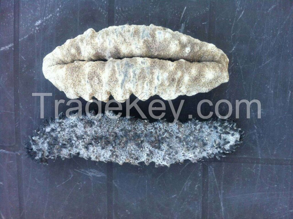 dry sea cucumber