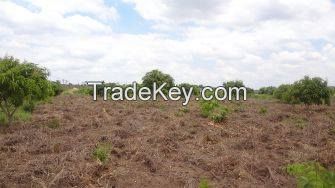 Land for sale in Kibaha, Dar es Salaam, Tanzania