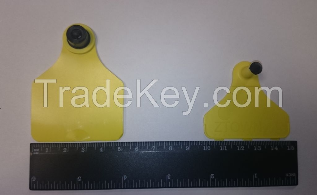 Ear Tags For Cattle