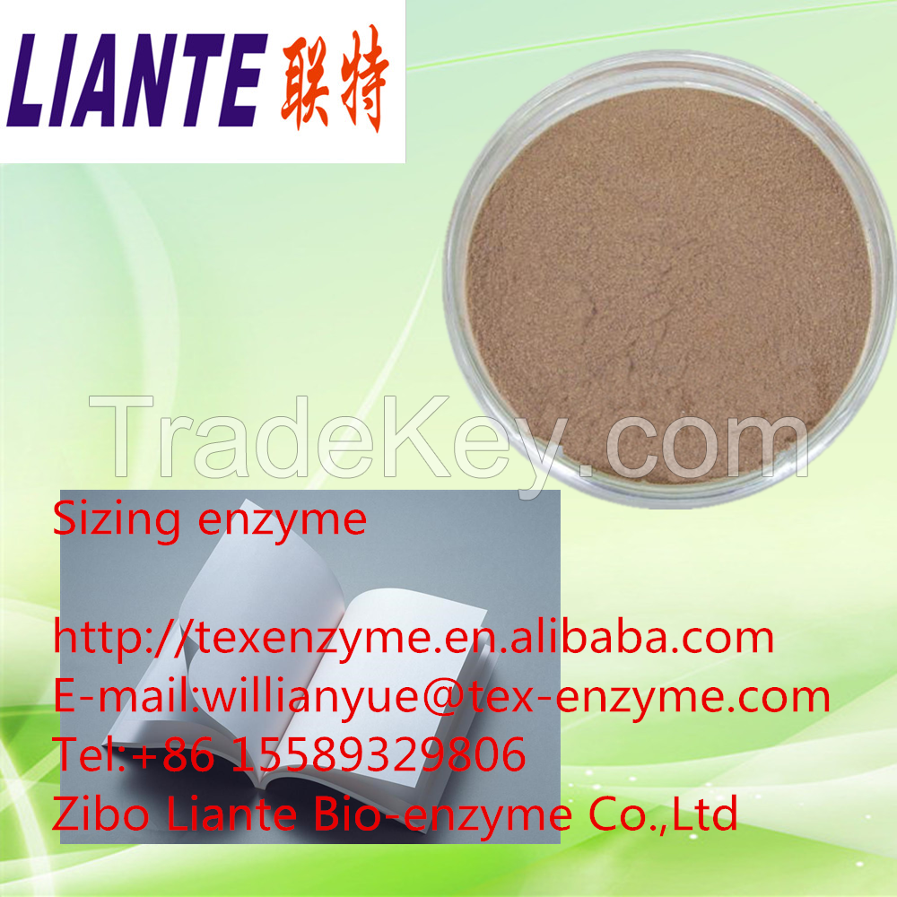 Papermaking enzyme
