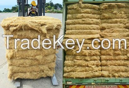 Long Palm Fibre , Coconut Fibre, EFB, EFB Fibre