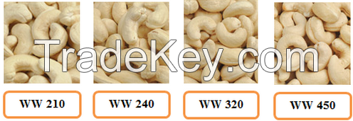 Cashew Nut Kernels with best quality and competitive price