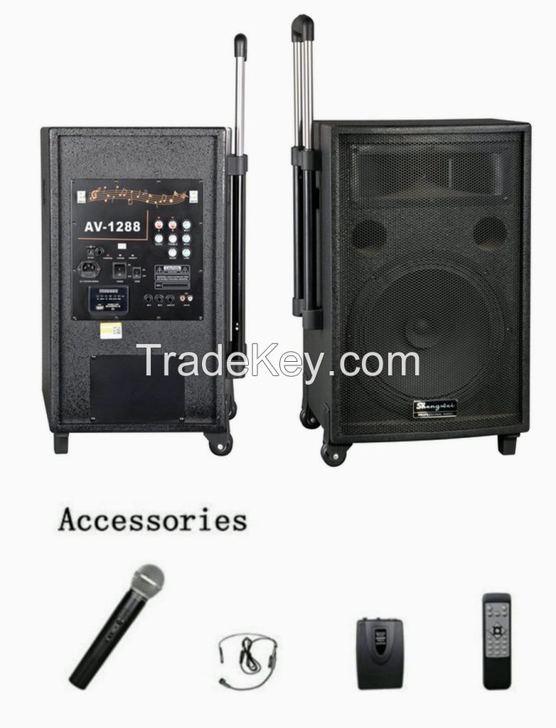 Professional Portable Wireless Amplifier