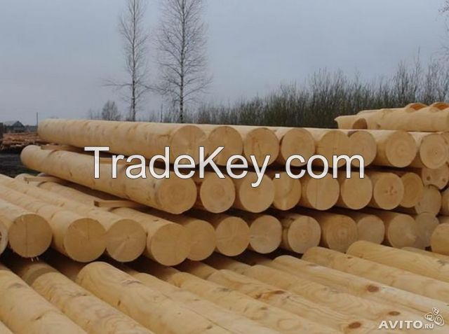 Birch, oak, pine logs and products