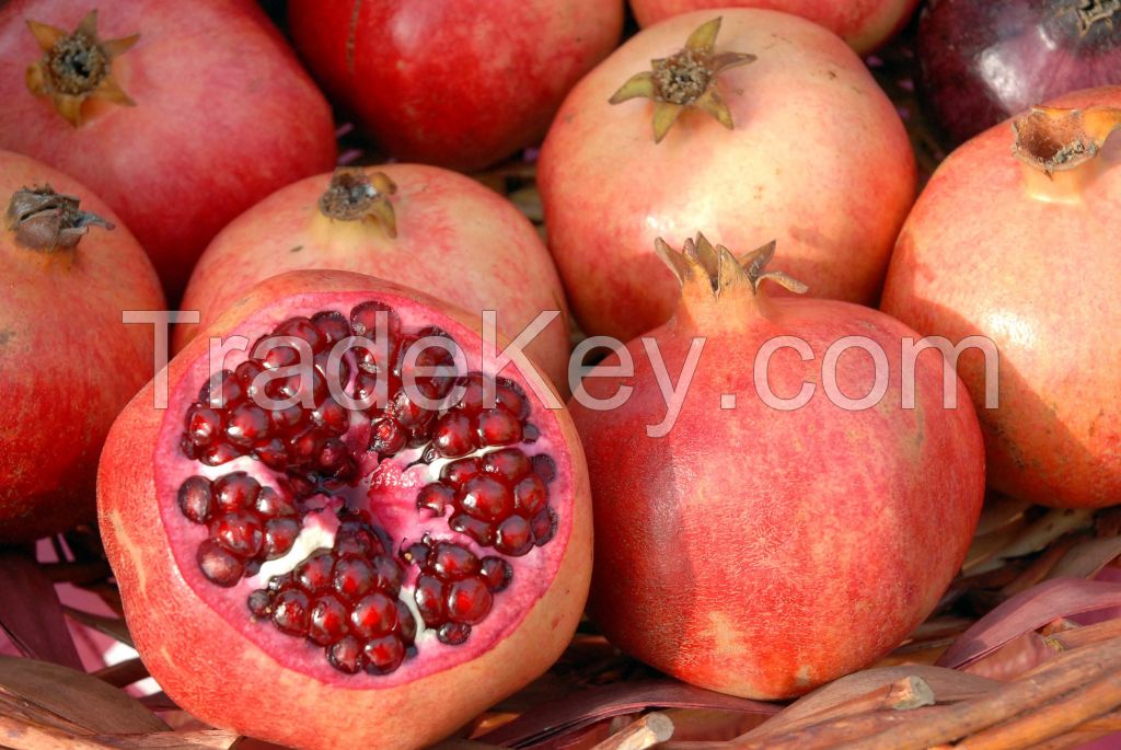 Fresh Red/Sweet pomegranate/ pomegranate pulp/fresh fruit 