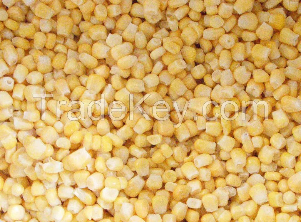 IQF sweet corn kernels