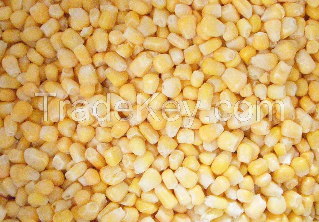 IQF sweet corn kernels