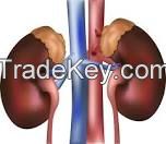Are you interested in selling or buying of kidney