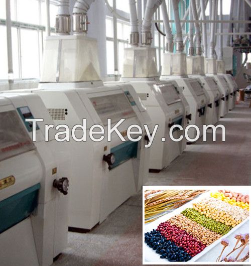 Grain Processing Equipment