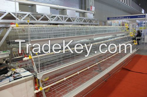 Agricultural Poultry Farm Used for Chicken Layer Cage/Battery Layer Cage/Egg Laying Cage