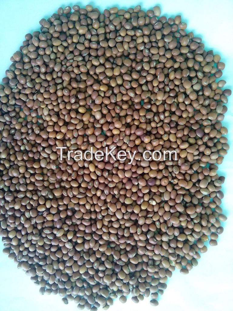 Pigeon peas / Toor whole