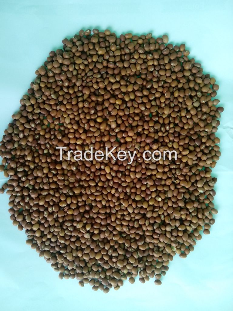 Pigeon peas / Toor whole