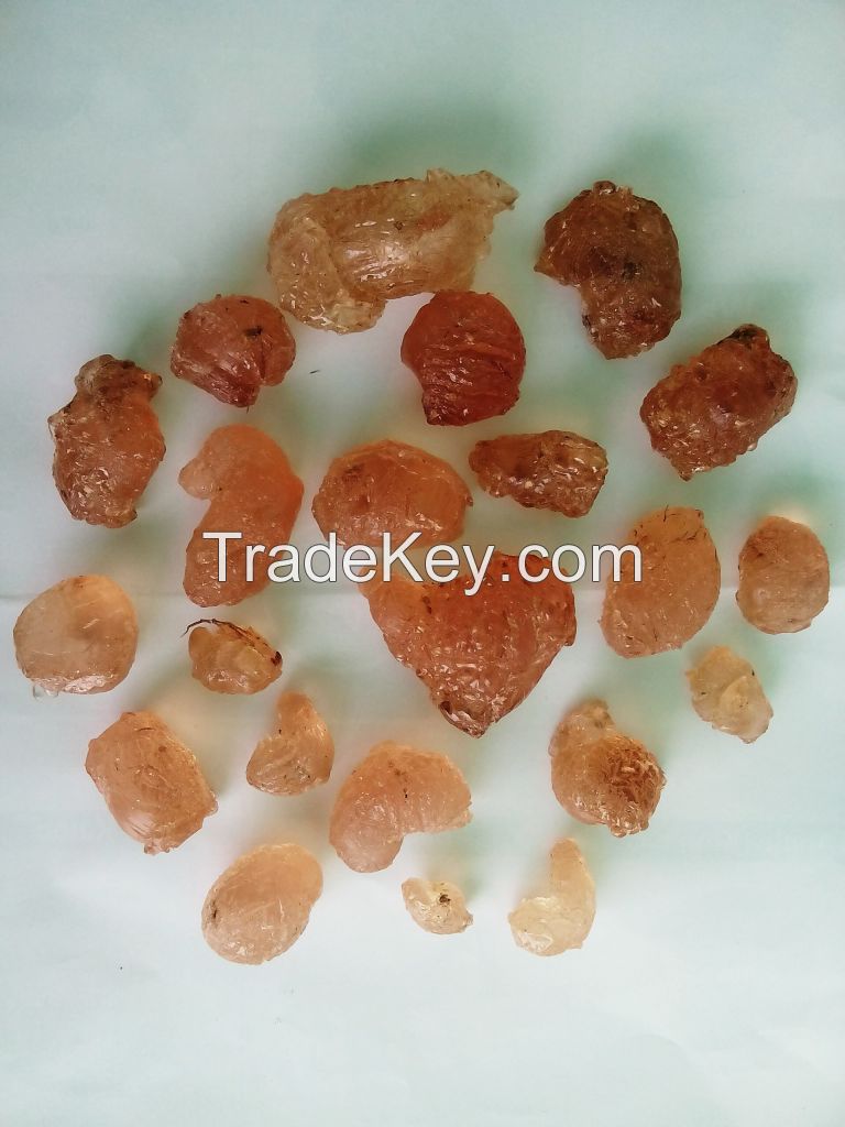 Gum Arabic / Acacia