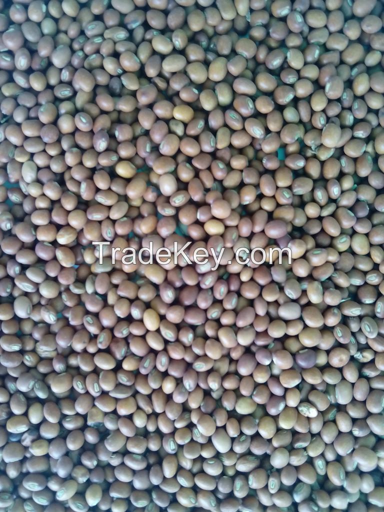 Pigeon peas / Toor whole