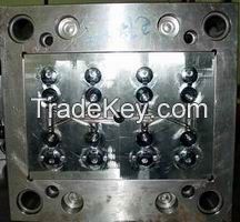 flip top cap mould