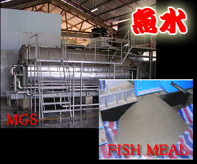 Fish Meal, Oilfree, Eco-Consicious And Less-Smell