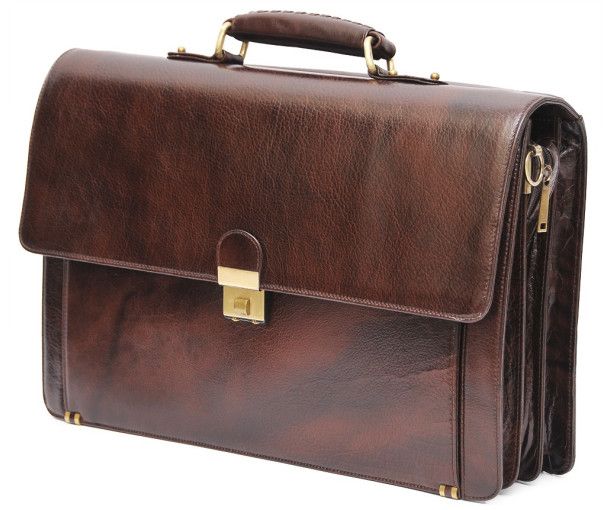 HIDEMARK STYLISH LEATHER LAPTOP BAG WITH DOCUMENT ORGANIZER