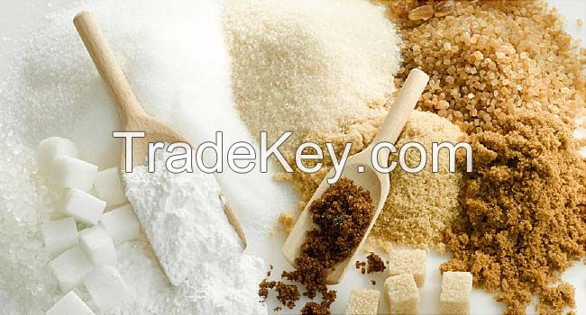 Sugar Refined Cane Sugar,Brown Sugar,Beet Sugar,Cane Sugar,Corn Syrup,Turbinado,Rapadura Sugar