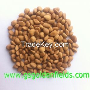 Organic Pine Nut 100% Nature Pine Nuts Healthy Green Food Pine Nut Kernels