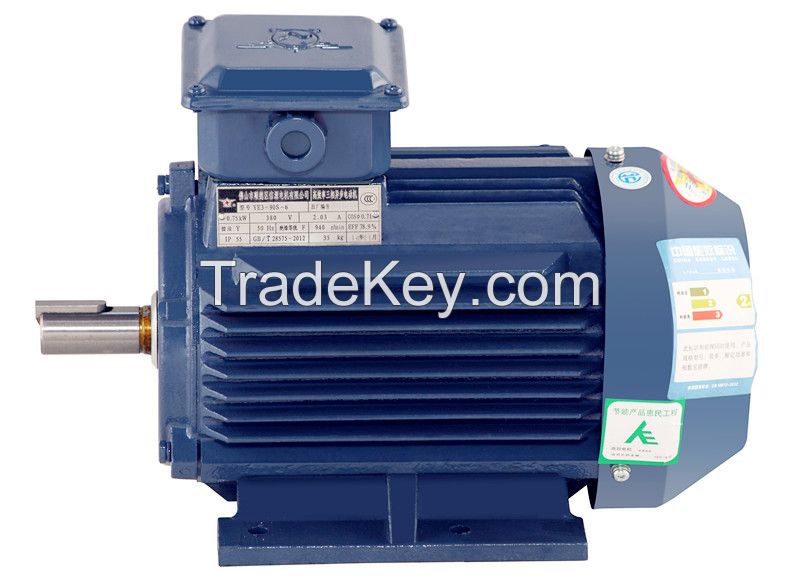 YE3 Series Three-phase Induction Motor