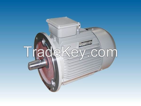 Y2 Series 3-Phase Asynchronous Motor