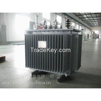 SHANDONG TIANYI power transformer