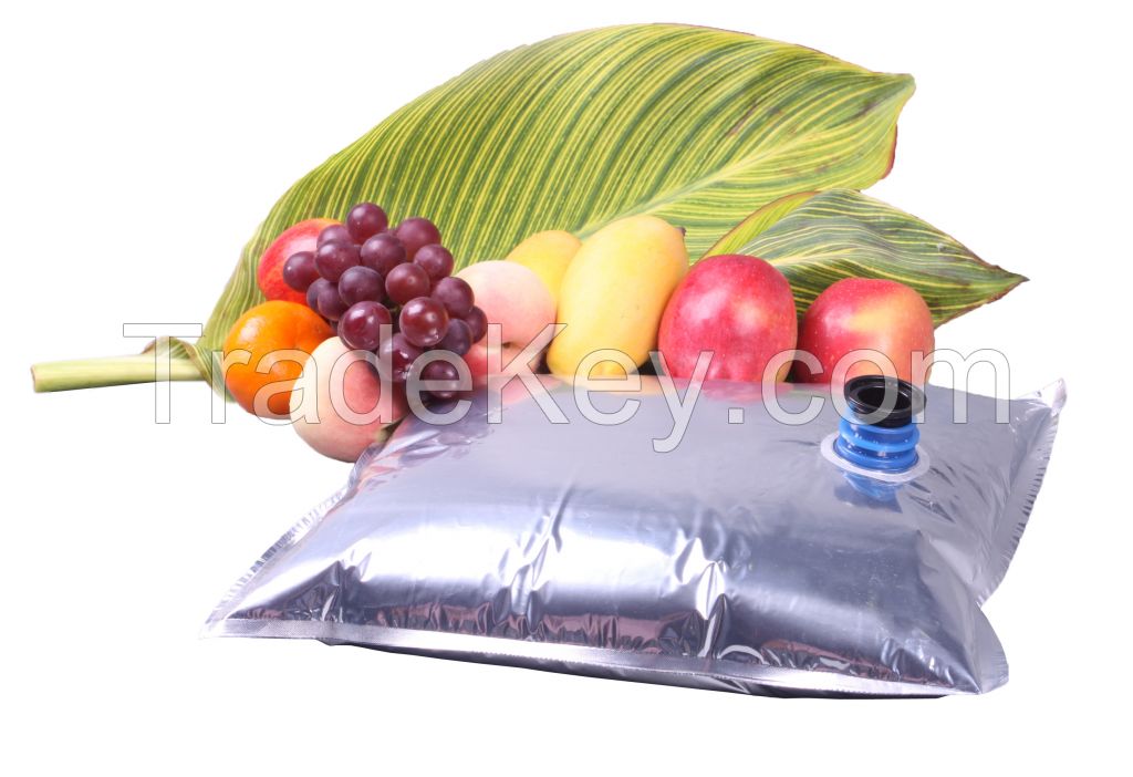 Aseptic Bag for Tomato Paste and Fruit Concentrates