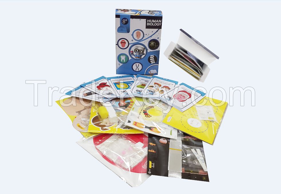 science kits educational toys the secret of human body